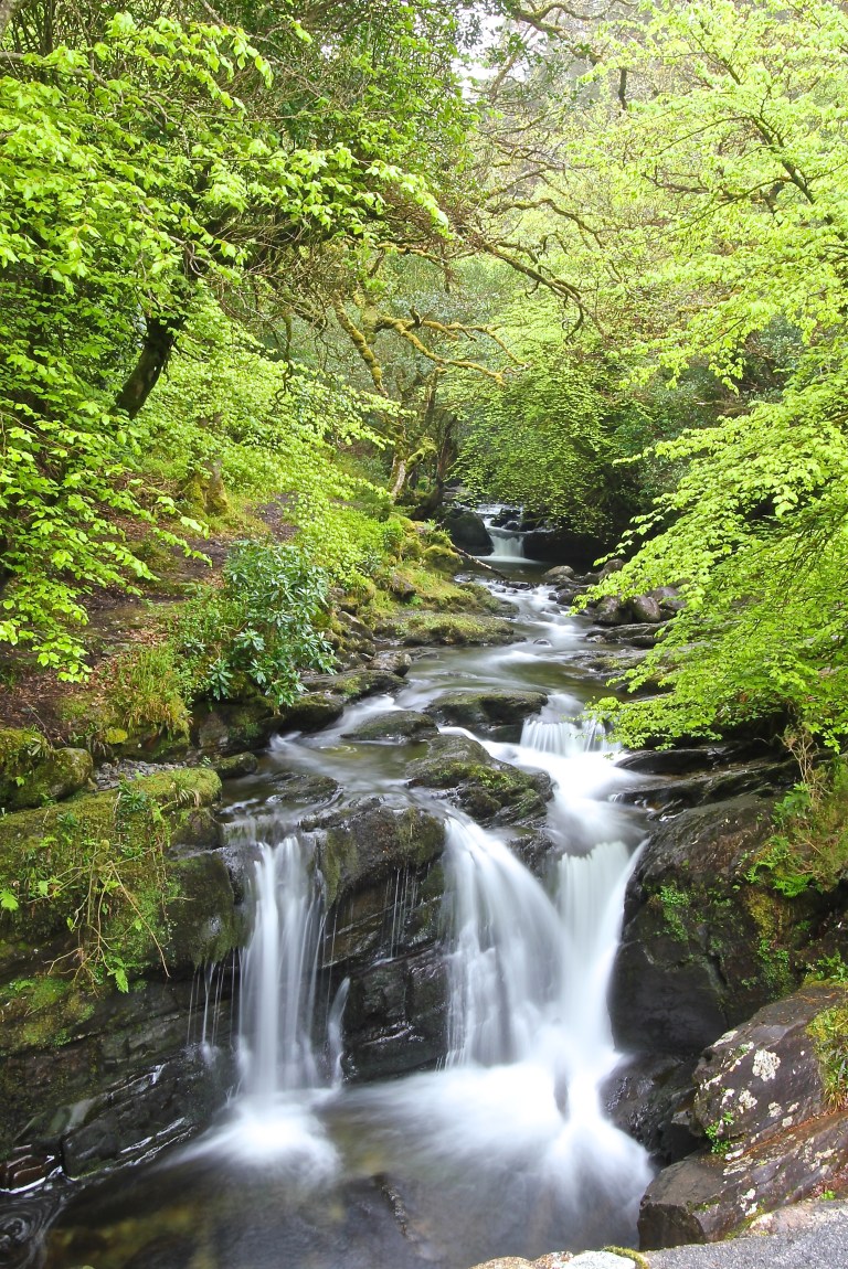 Kerry Water