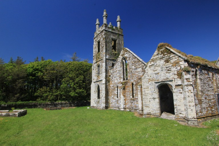 One of the joys of the Castlefreke Walk