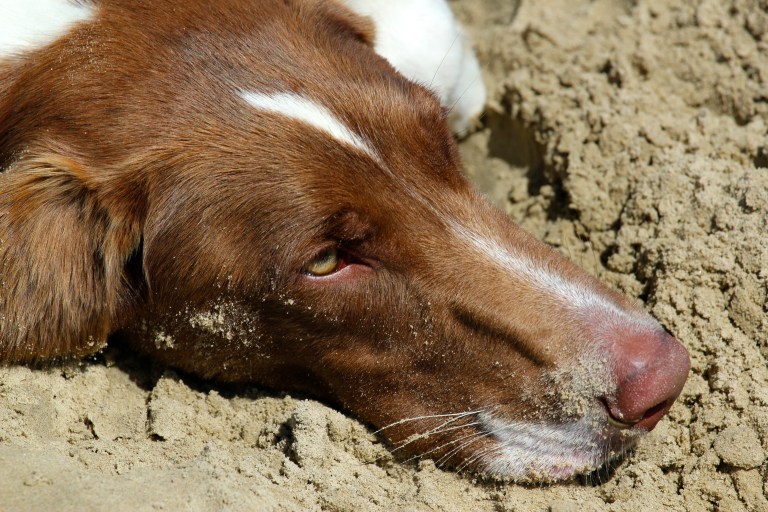 Taking it easy on holiday