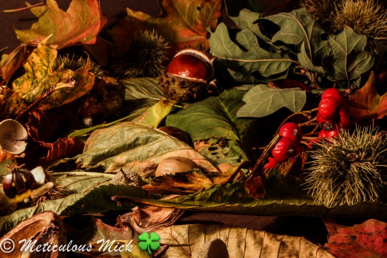 The Cast of Autumn Fruits