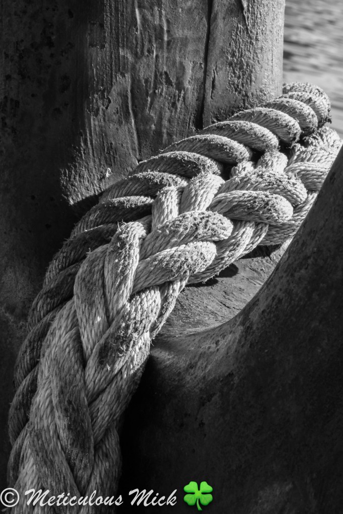 Rope Restraint