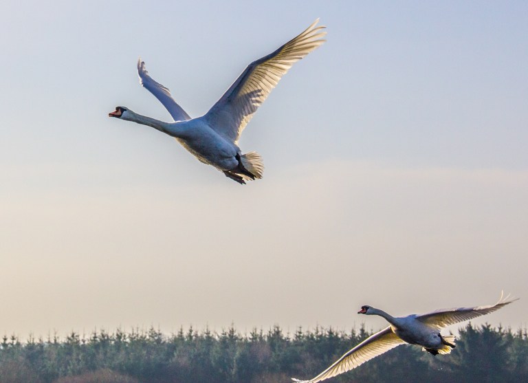 Off for Pastures New