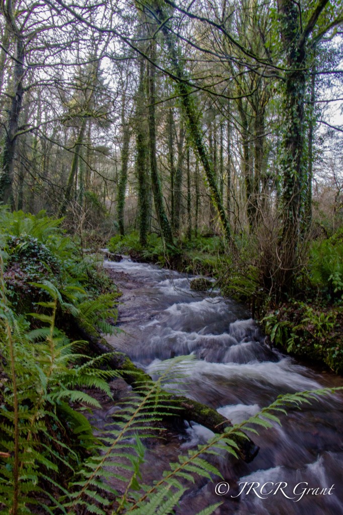 Water tumbling down steps