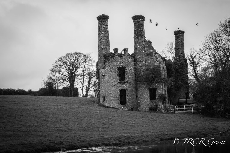 Abandoned to the Crows