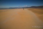 Image of Red Sands Beach, Iceland