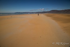 Image of Red Sands Beach, Iceland