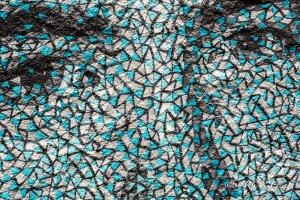 Close up of Graffiti Face