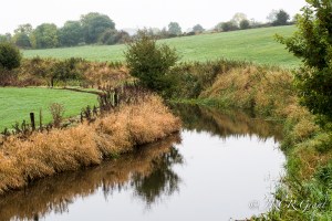 A North Cork Brook