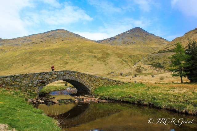 Bridge_Challenge-1 (1)