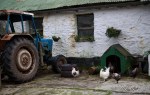 The Farmyard