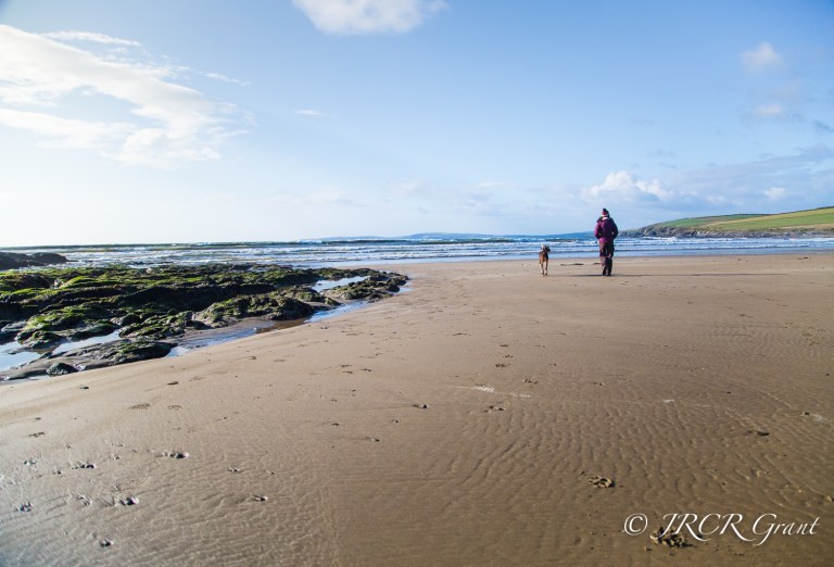 Lady and Dog go walking on a sandy strand