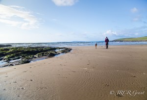 Lady and Dog go walking on a sandy strand