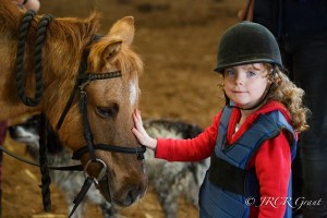 Image of Girl stroking pony