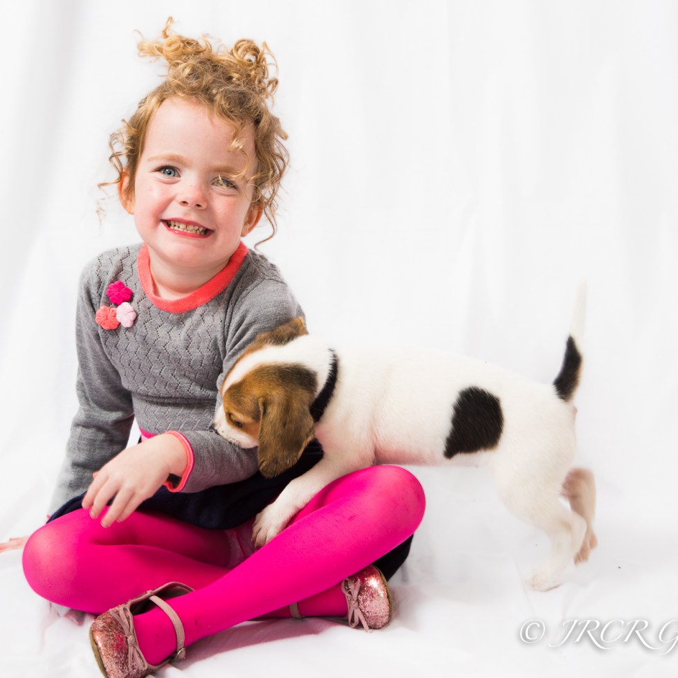 Girl and Beagle Puppy