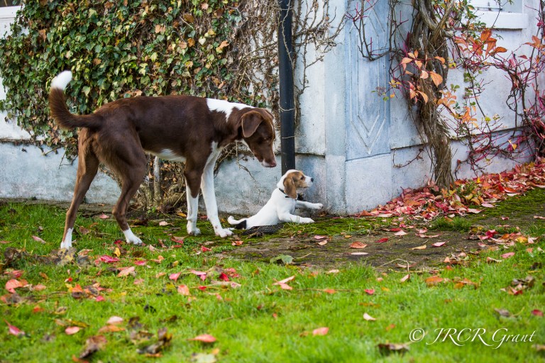 That Sinking Feeling