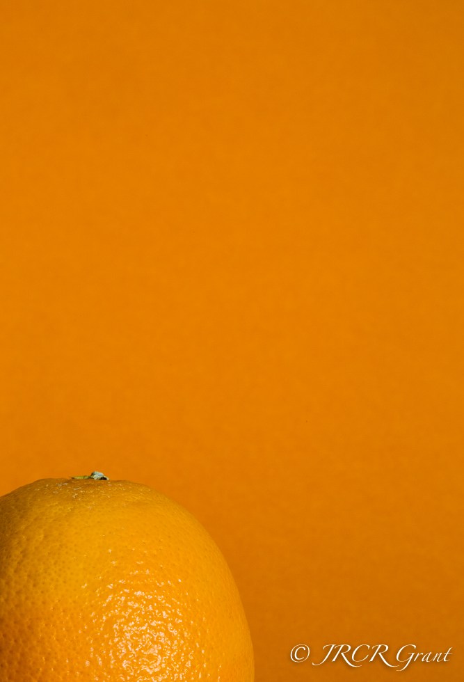 Orange against an orange background