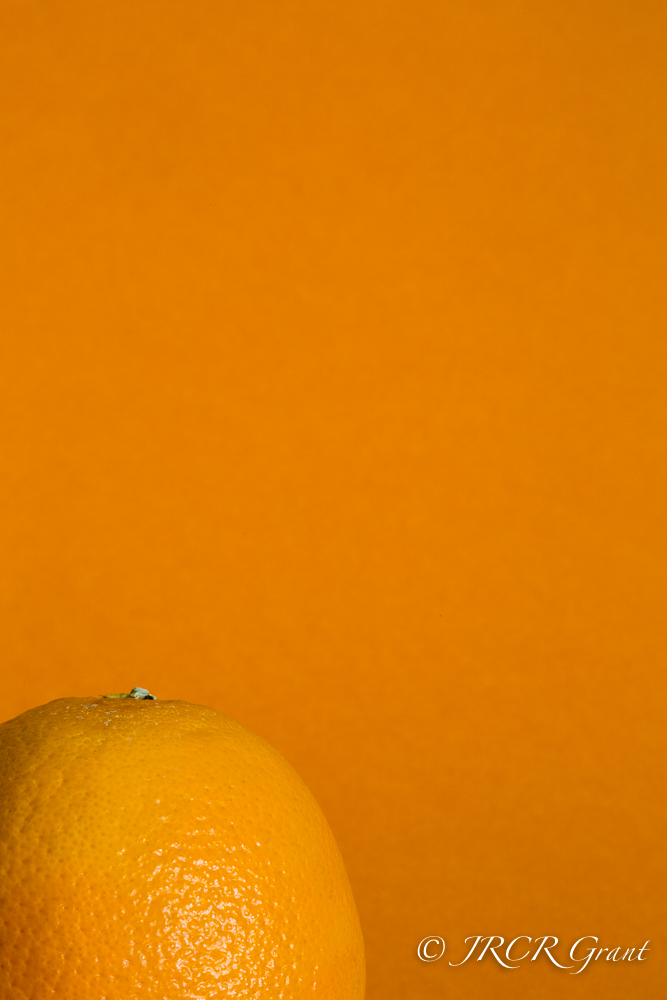 Orange against an orange background