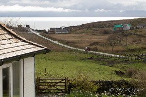 View from the Window