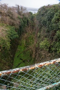 The Moat of green soup to deter invaders