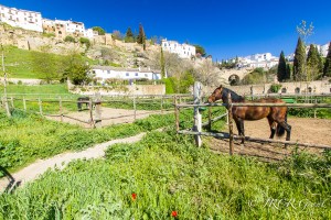 the merging of a town and countryside