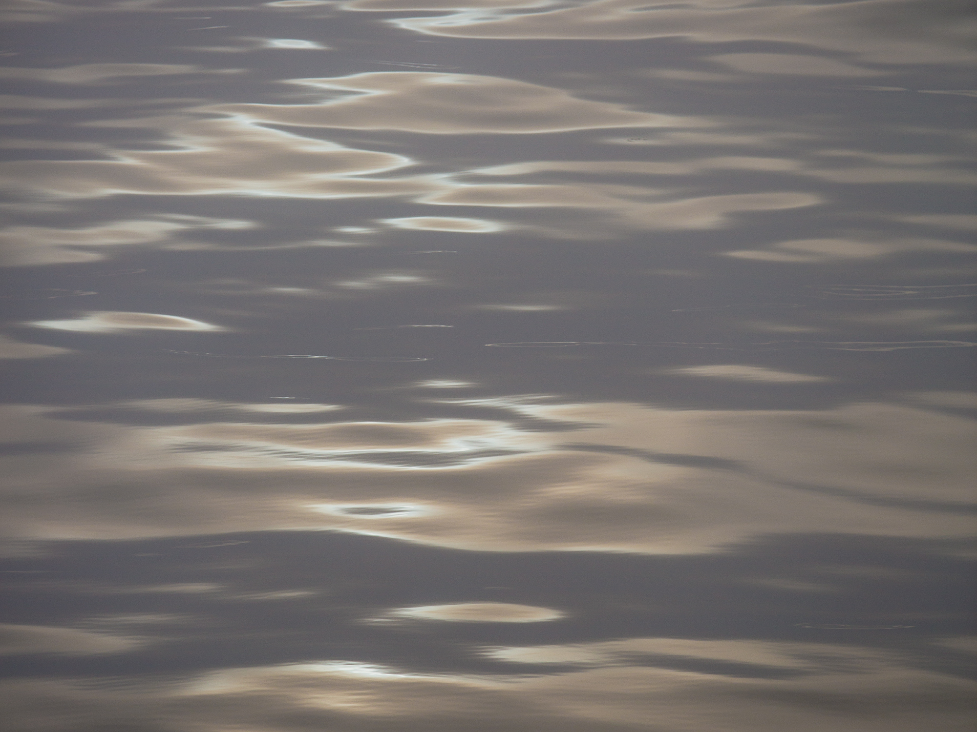 The ocean's surface dappled in fading light