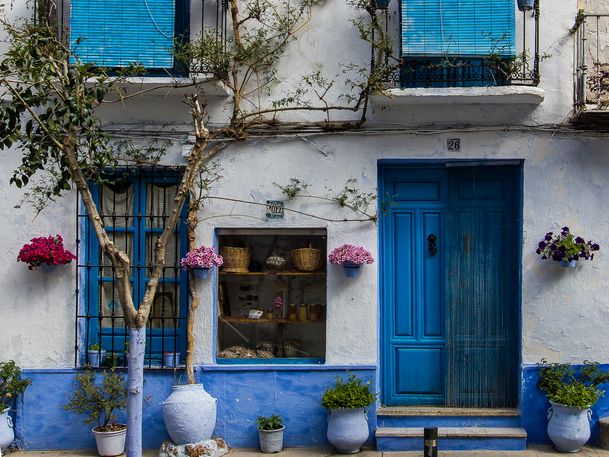 The front of a typical spanish house in the town of Lanjaron, Granda Province.