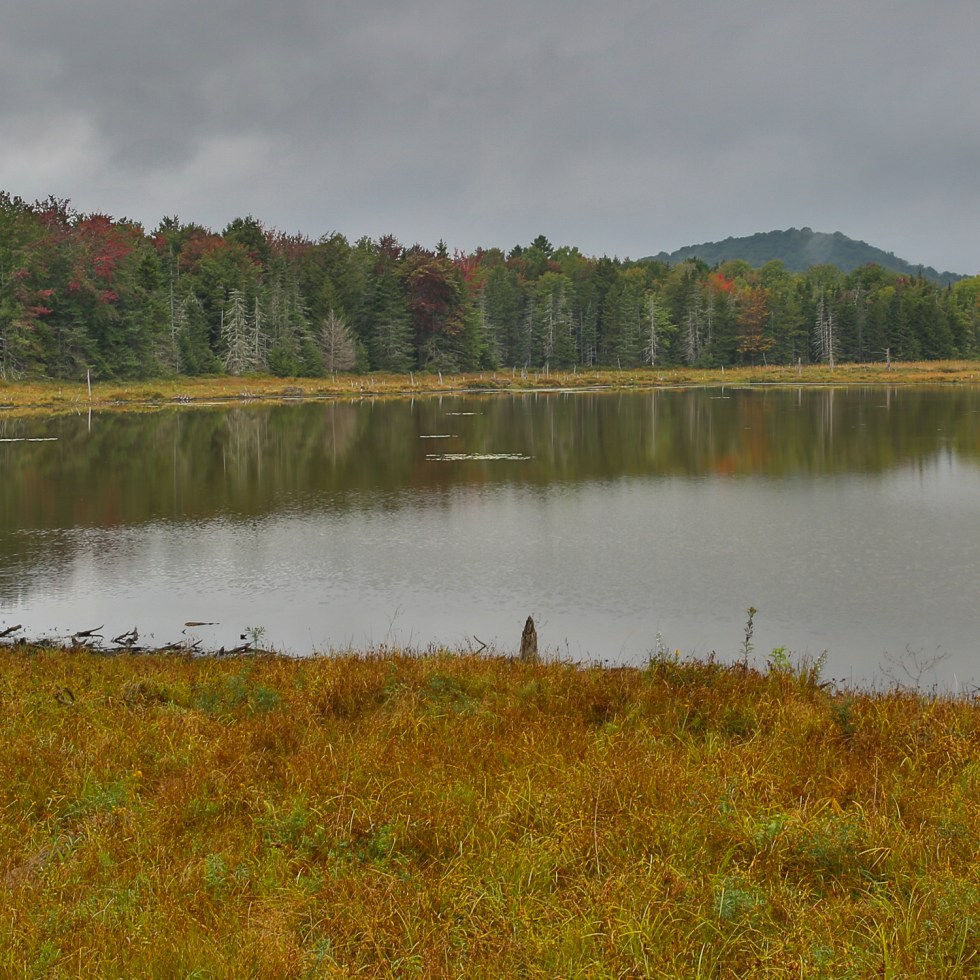 A tranquil scene in Vermont