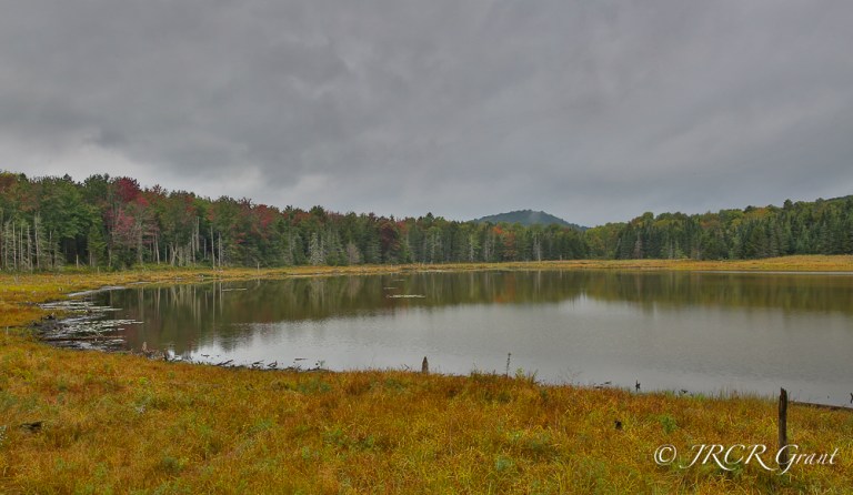A pond in Vermont, the essence of tranquility