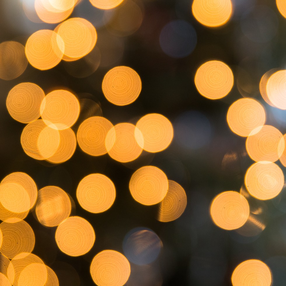 Bokha from the tree lights