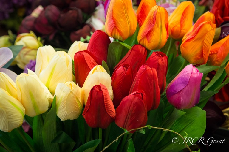 A bunch of tulips of various colourful hues in a Polish market