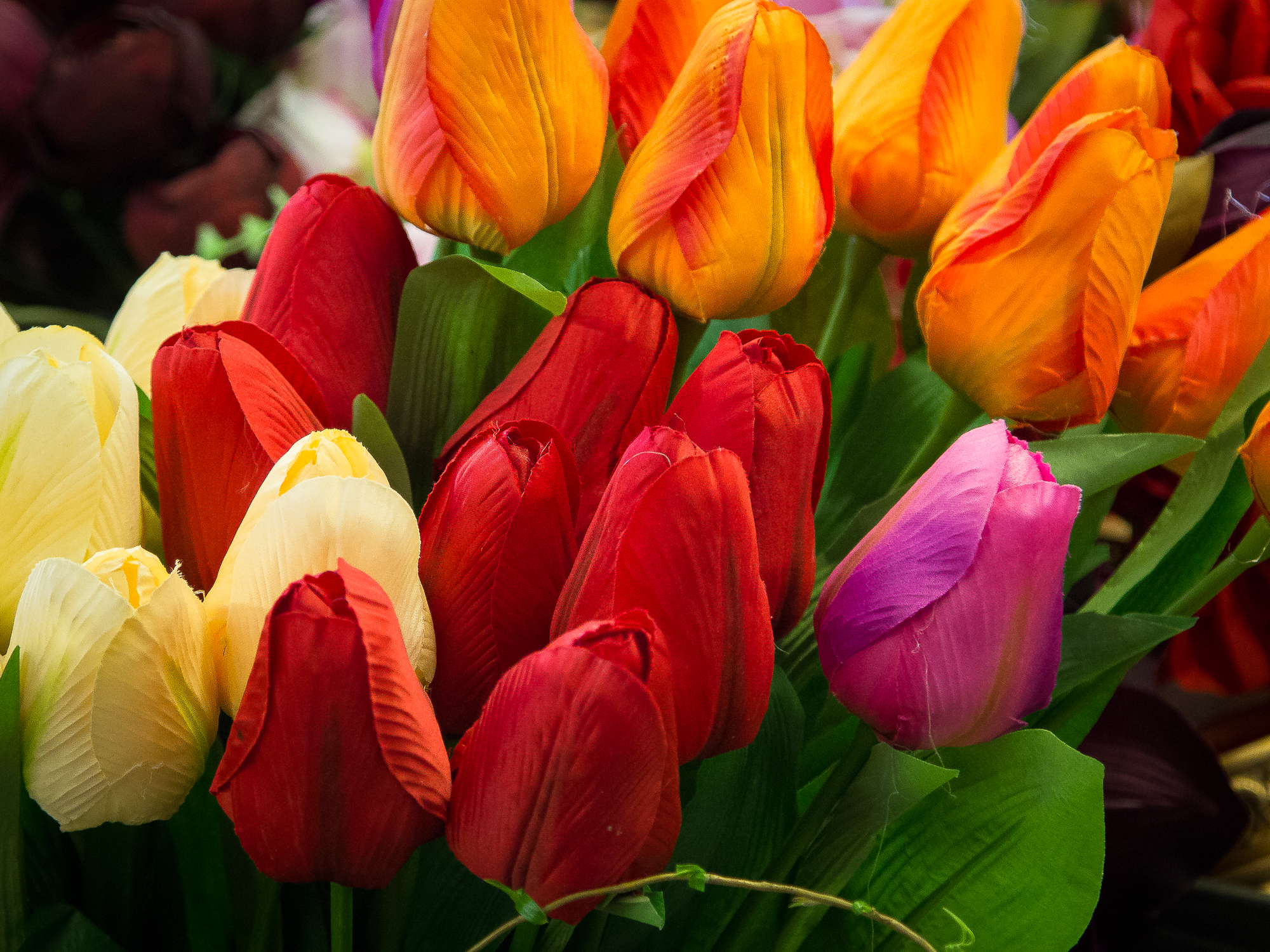 A bunch of tulips of various colourful hues in a Polish market