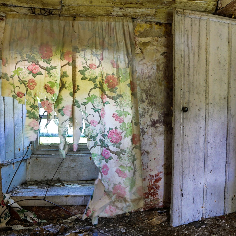 Faded, torn rose curtains billow in a derelict cottage in Ireland