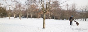 A Cork park covered in a blanket of snow