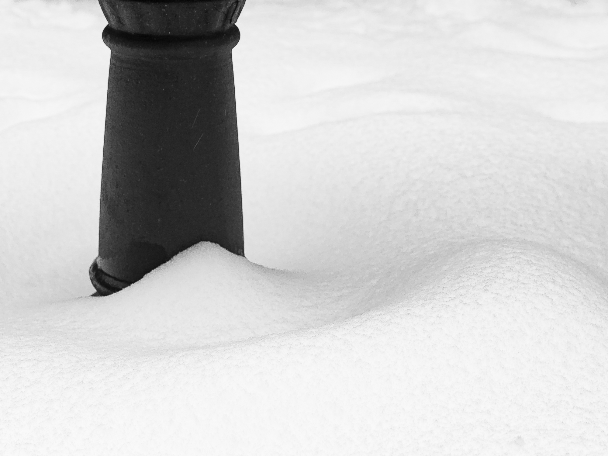 Snow makes patterns in a Cork Garden, 2018