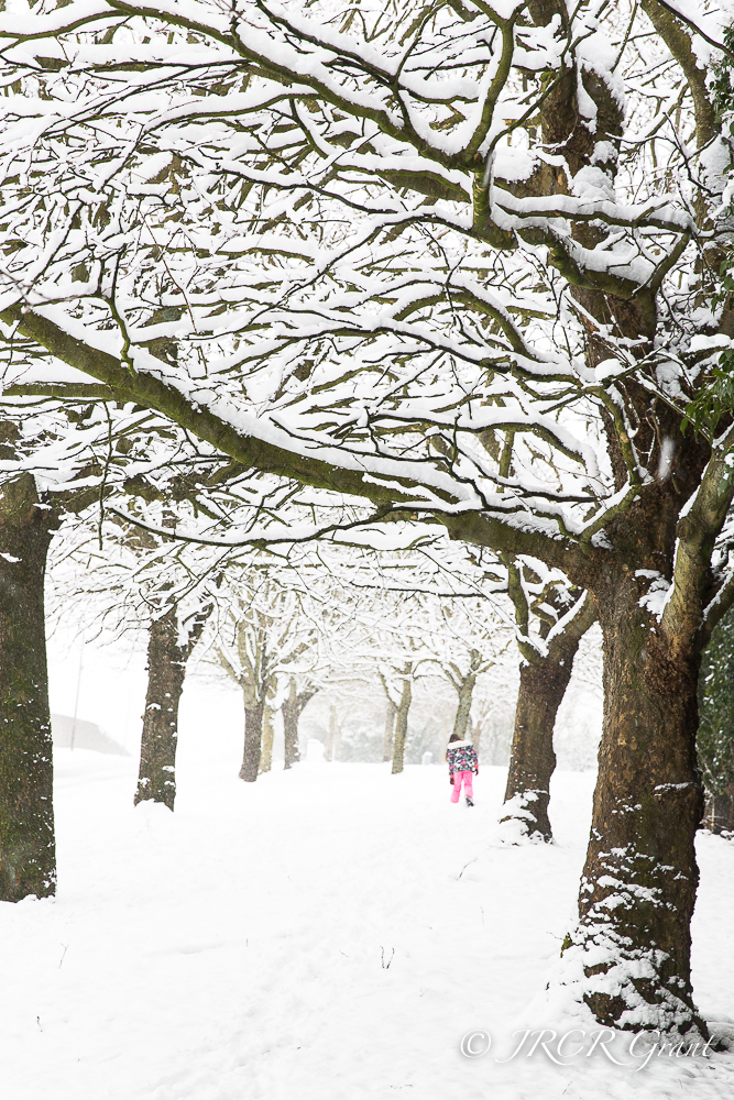 A young girl plods her way through snow, burdened branches hang above her
