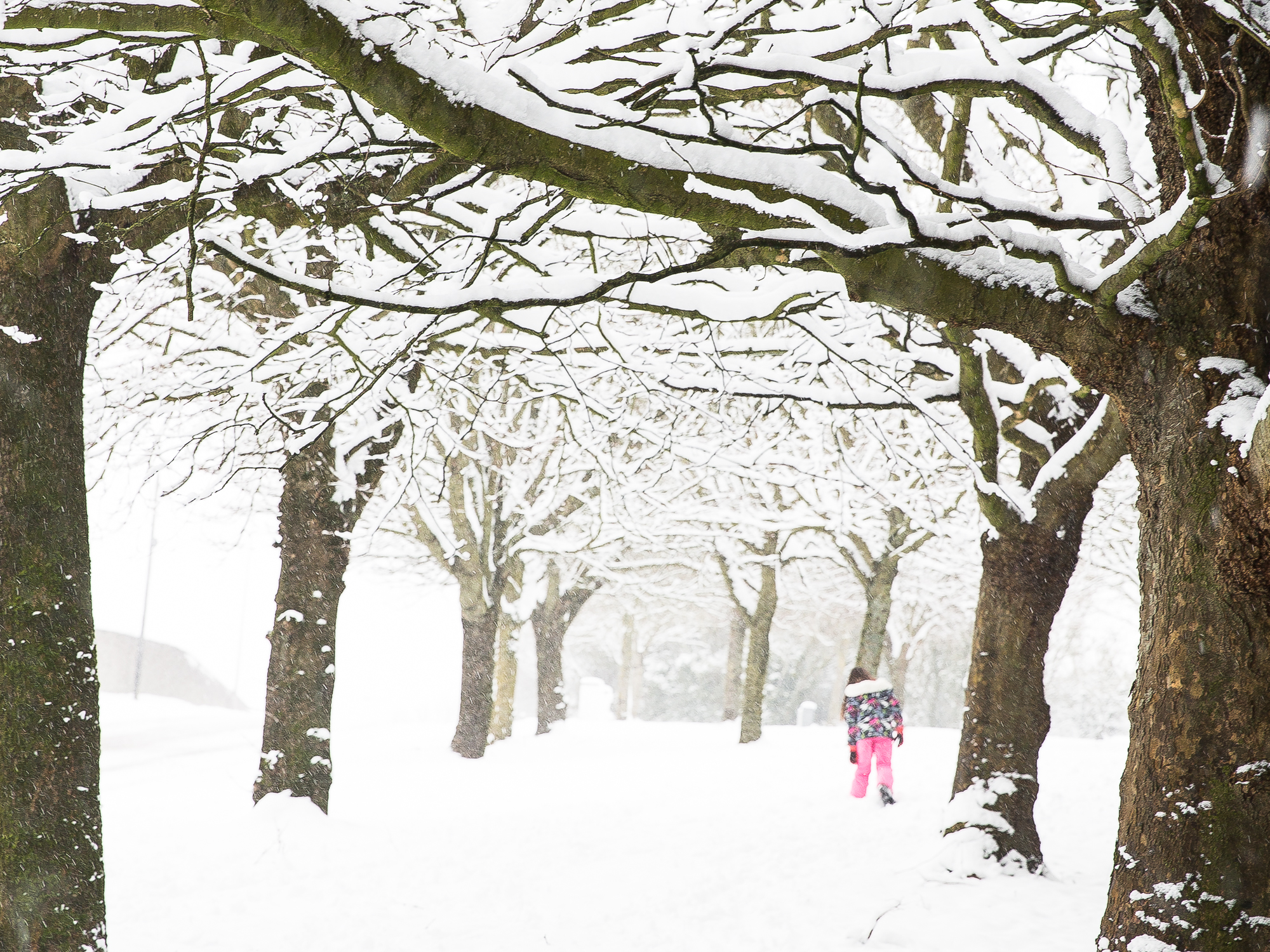 A girl in bright pink ski-pants makes her way through the deep snow in Cork City, Ireland