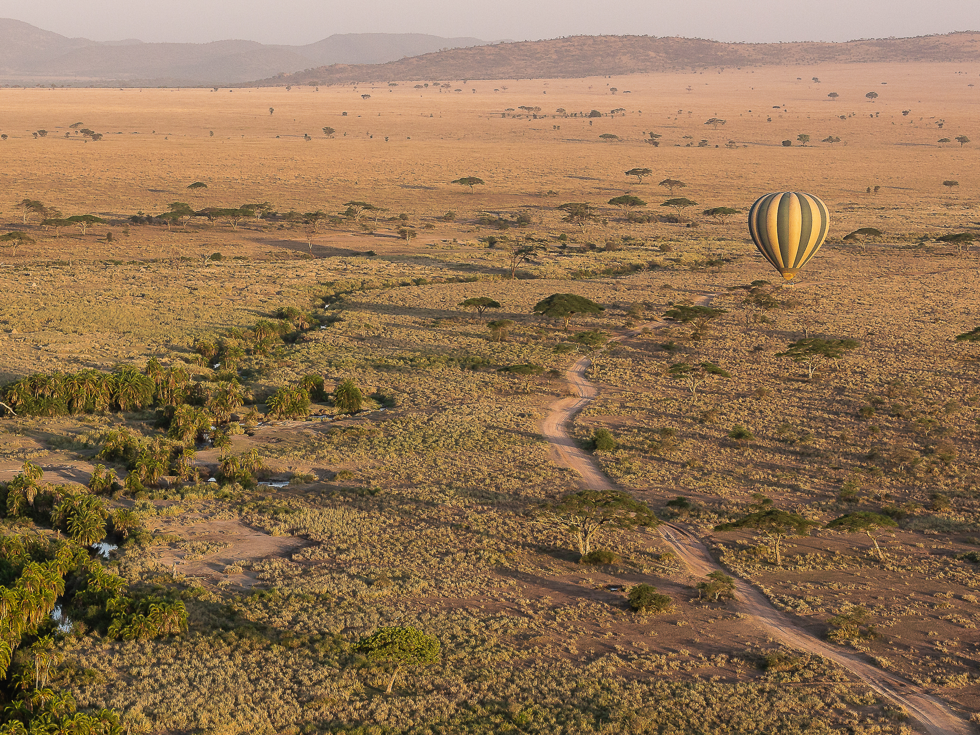 A hot air balloon surveys the African plains