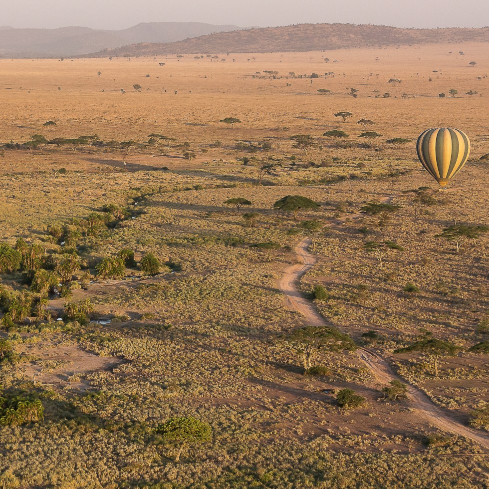 A hot air balloon surveys the African plains
