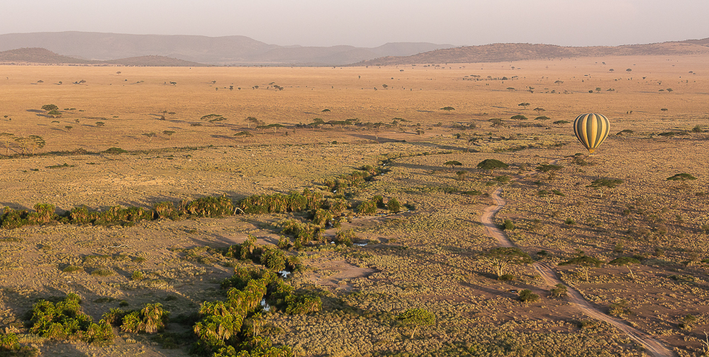 Plain Panorama from the basket of a hot air balloon over the Serengeti.