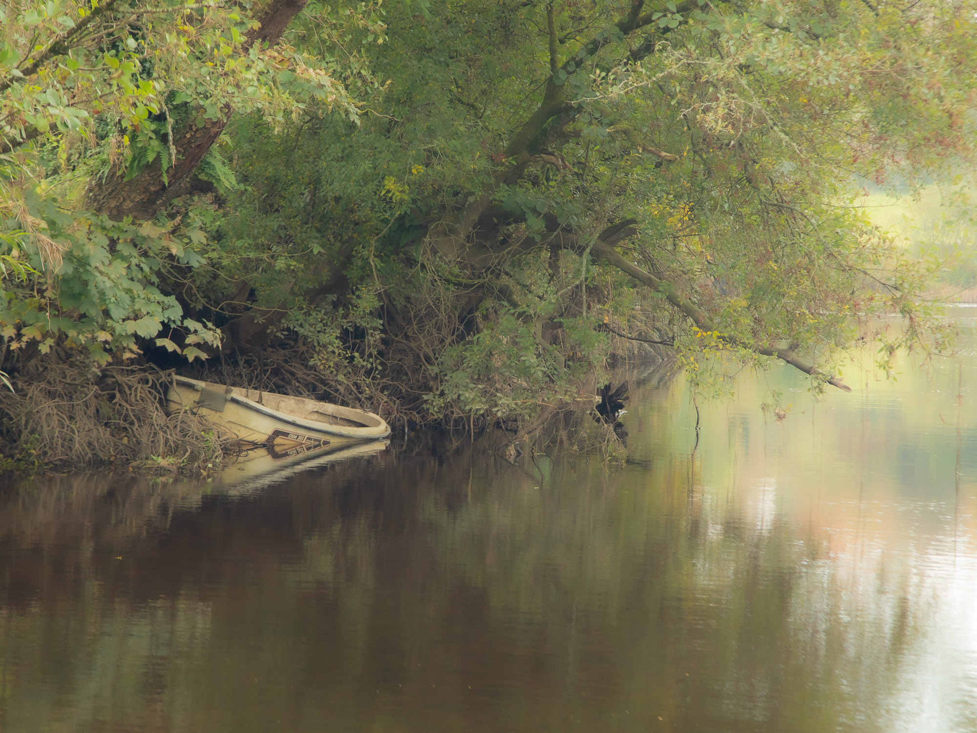 A boat on the Blackwater tied to the river bank