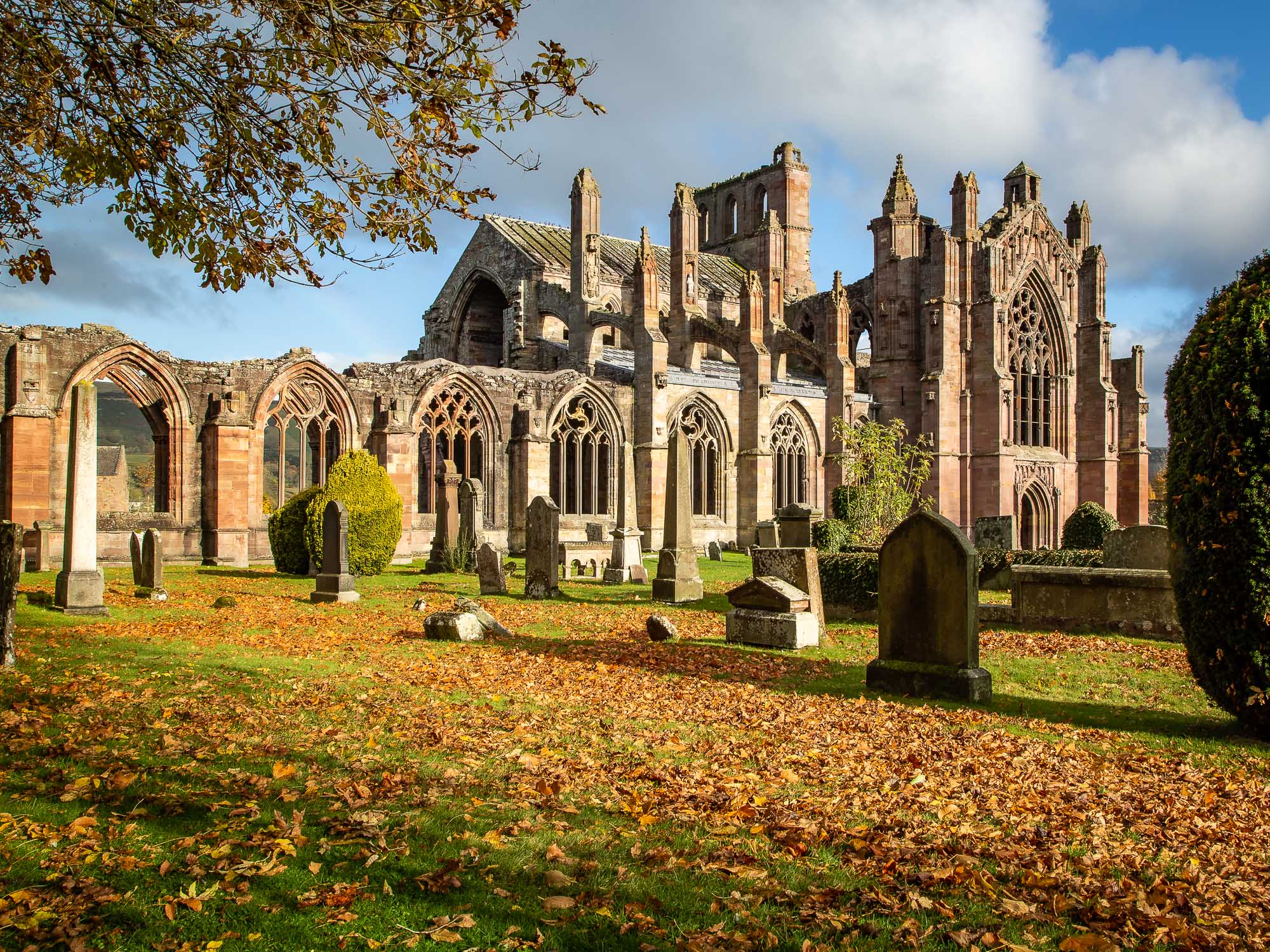 copper leaves litter the floor as Melrose Abbey stands proudly in the background.