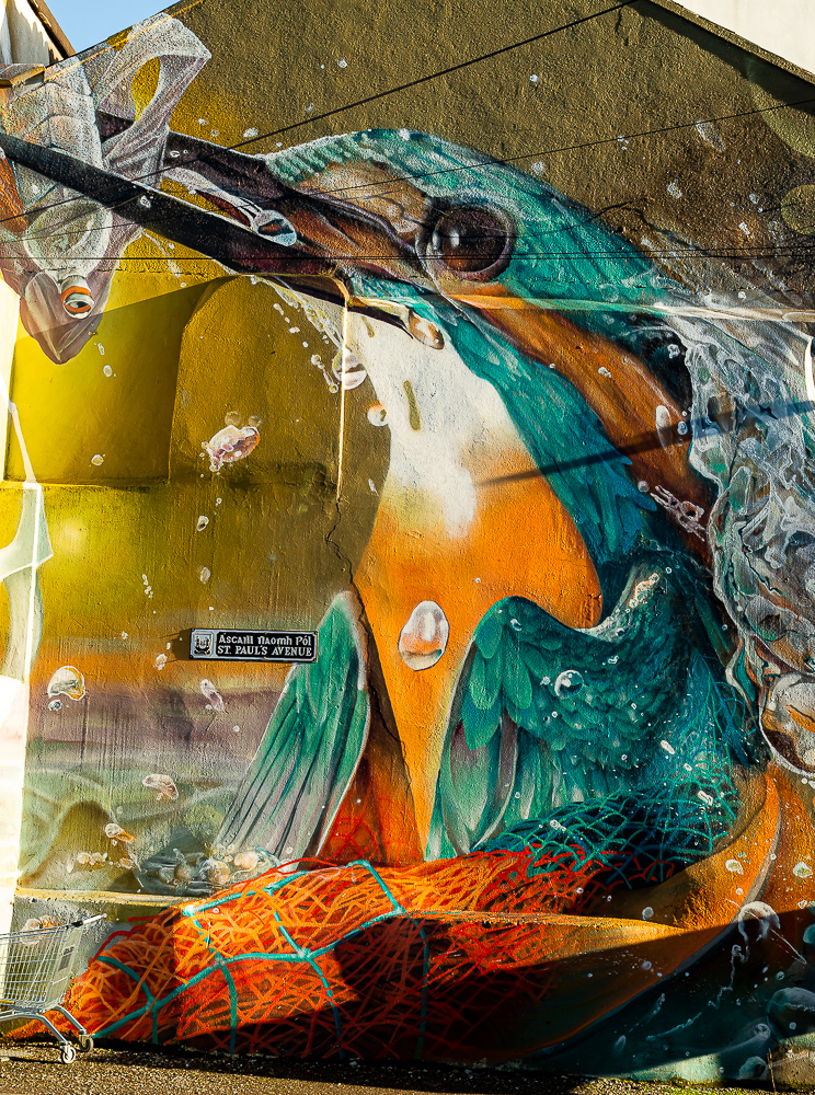 Main part of Kingfisher mural Cork City