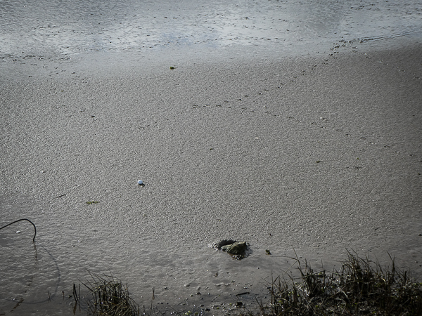 A golf ball lies atop of the mudflats