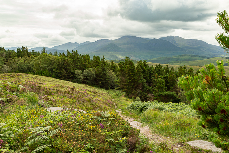 Spur Path and The Reeks