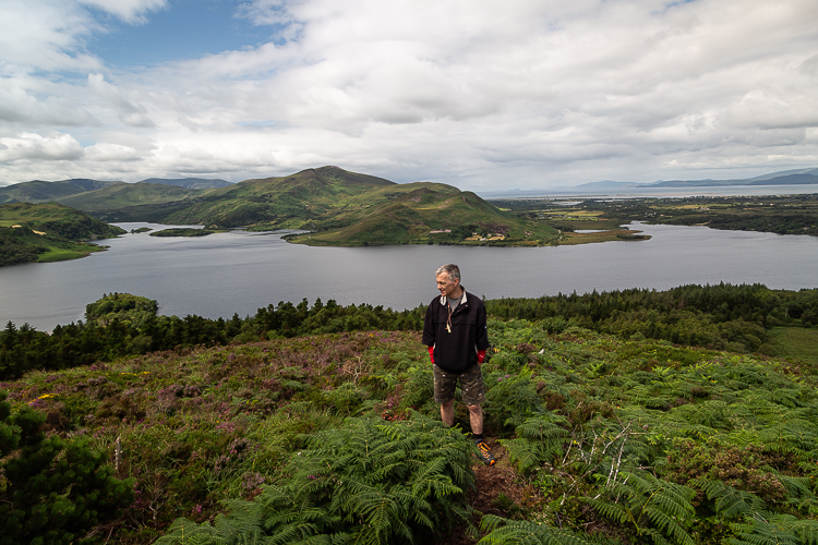 A walker takes in the scene