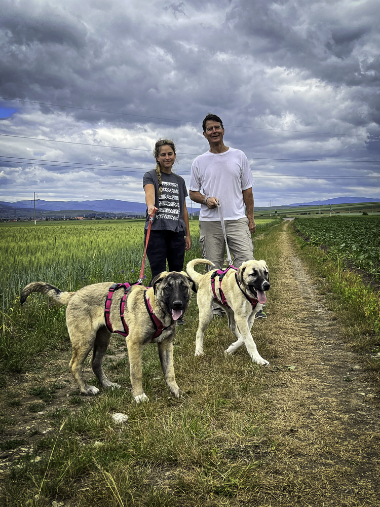 Jazzie and Jackie at ease on the leashes