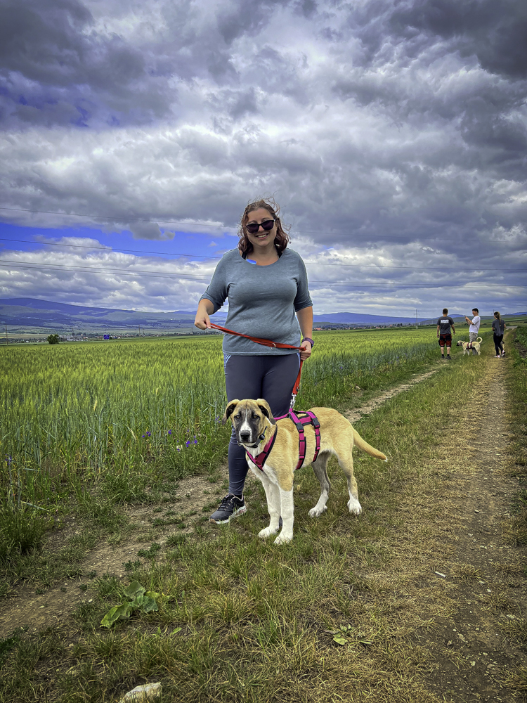 Josie stands like a model pup